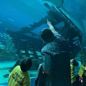 Meet your Posher, Alfred